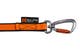 bungee_leash_double_3.jpg