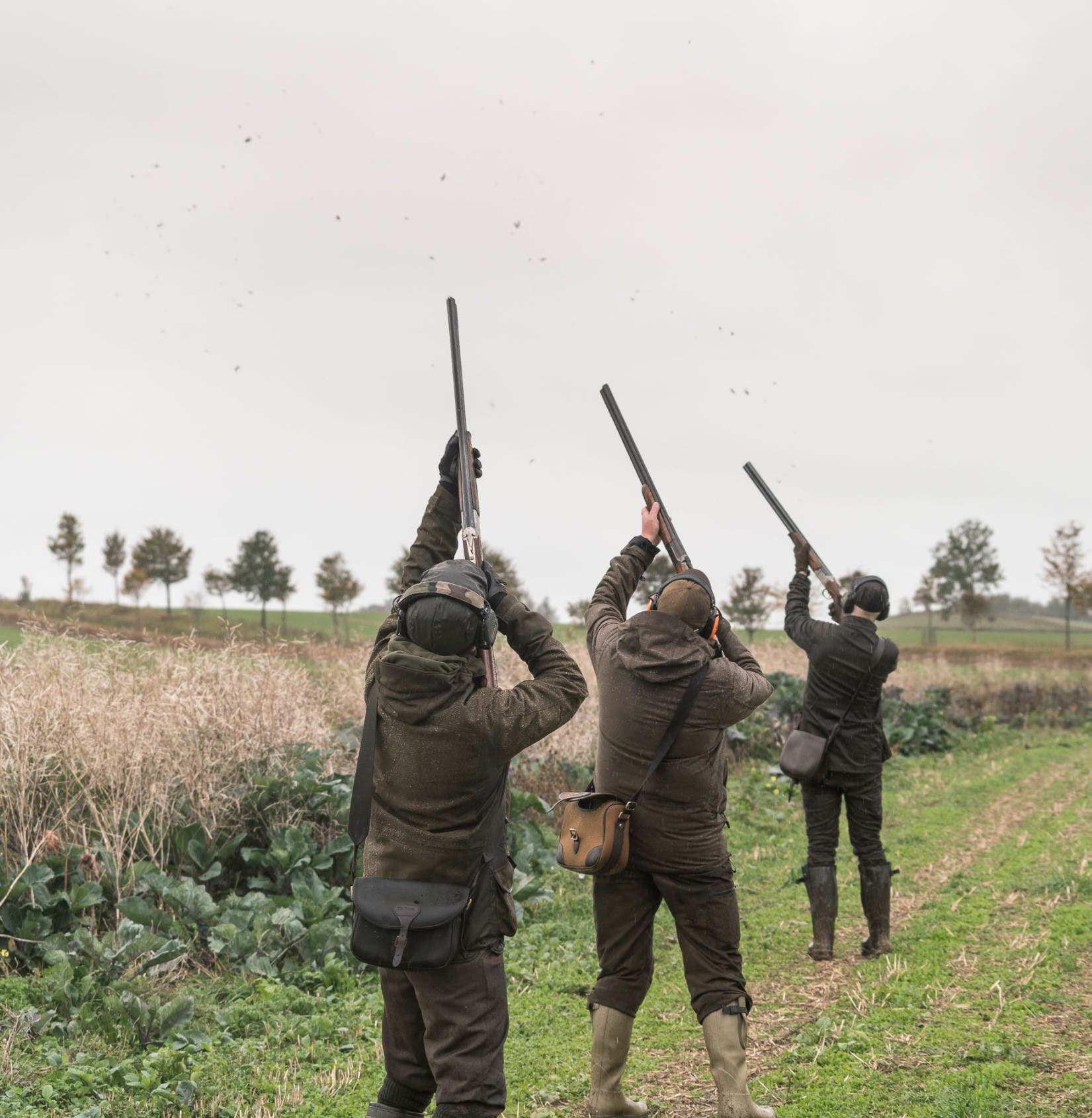 Fågeljakt Hagel Jägare