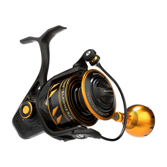 1310317_4500_ms.png