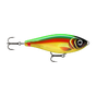 Bright Parrot