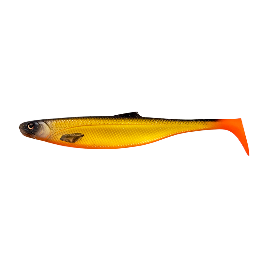 0035-7475-9494-products-bangershad_dirty-roach.png