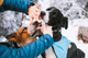 paw_care_setting_3.png