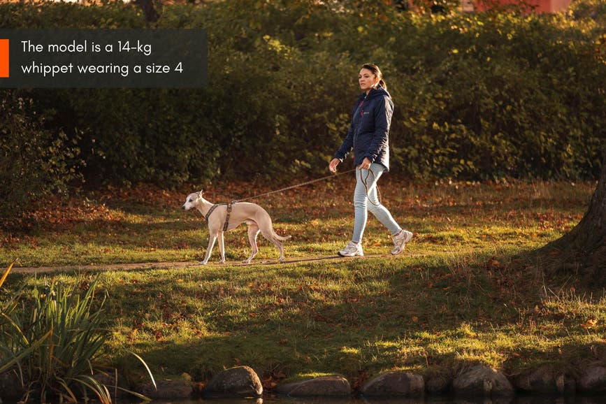 line_harness_5_0_rp_setting_3.jpg