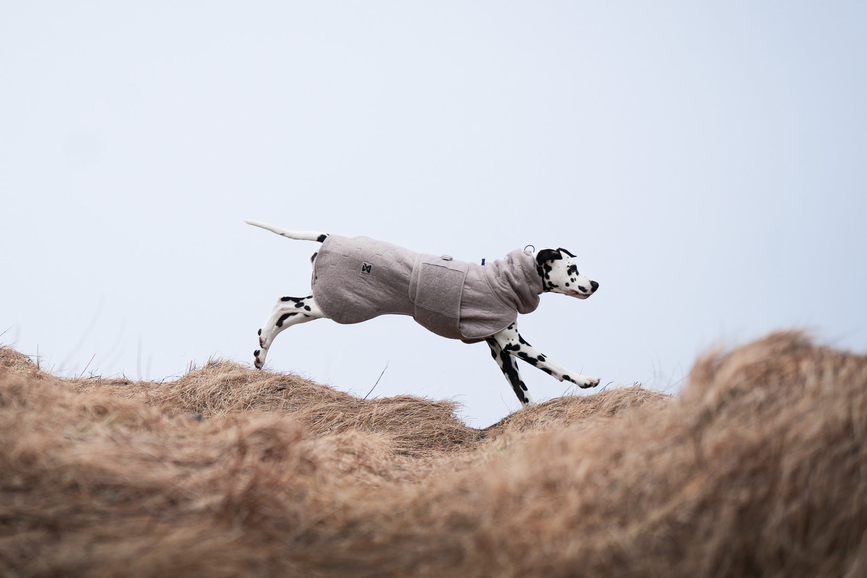 drying_coat_setting_1.png